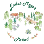 logo1 1 removebg preview